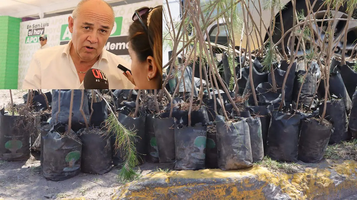sectur arborización CR (1)