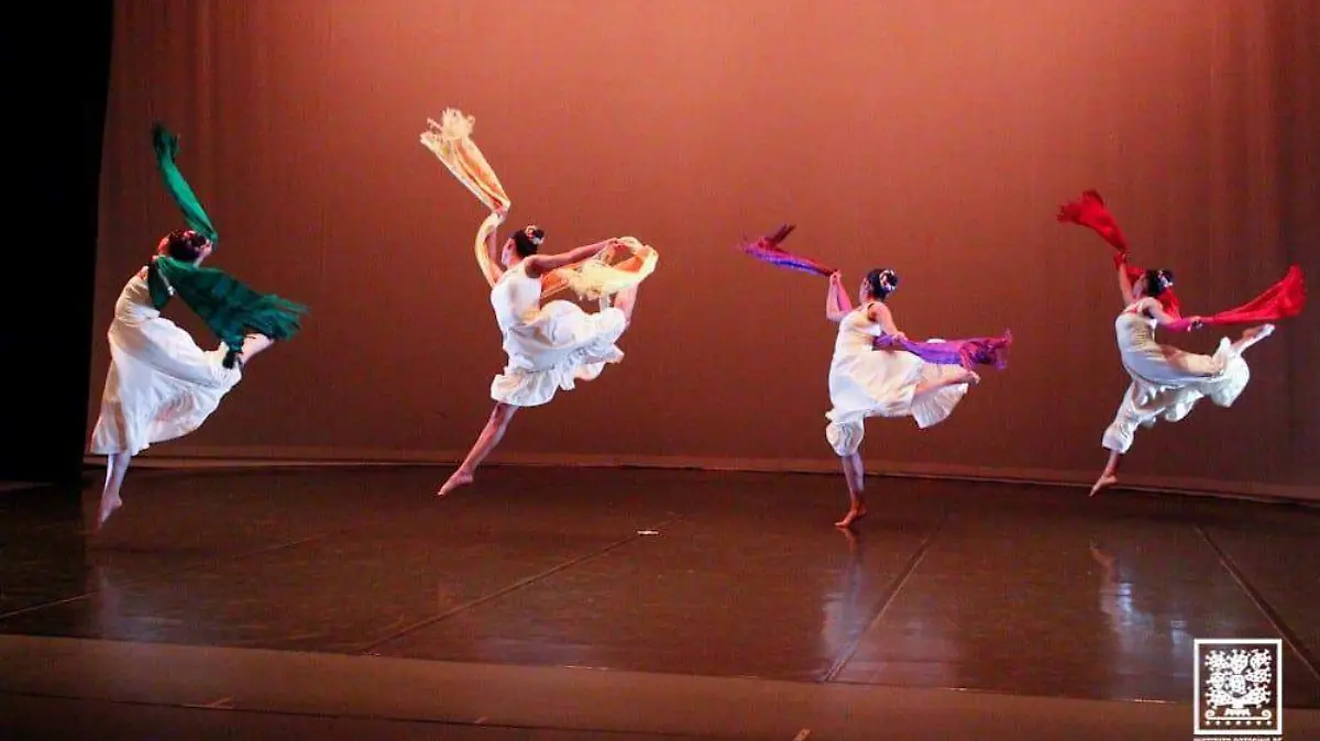 funciones de danza