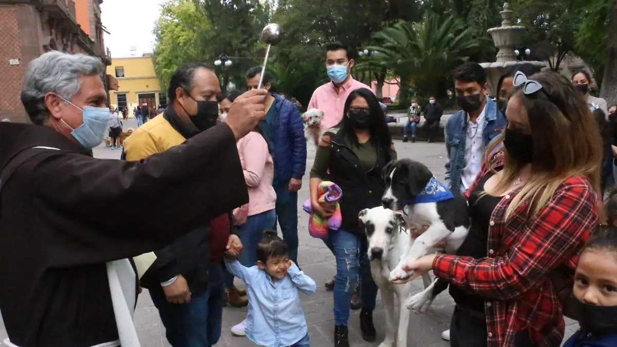 Festividades del Santo de Asís