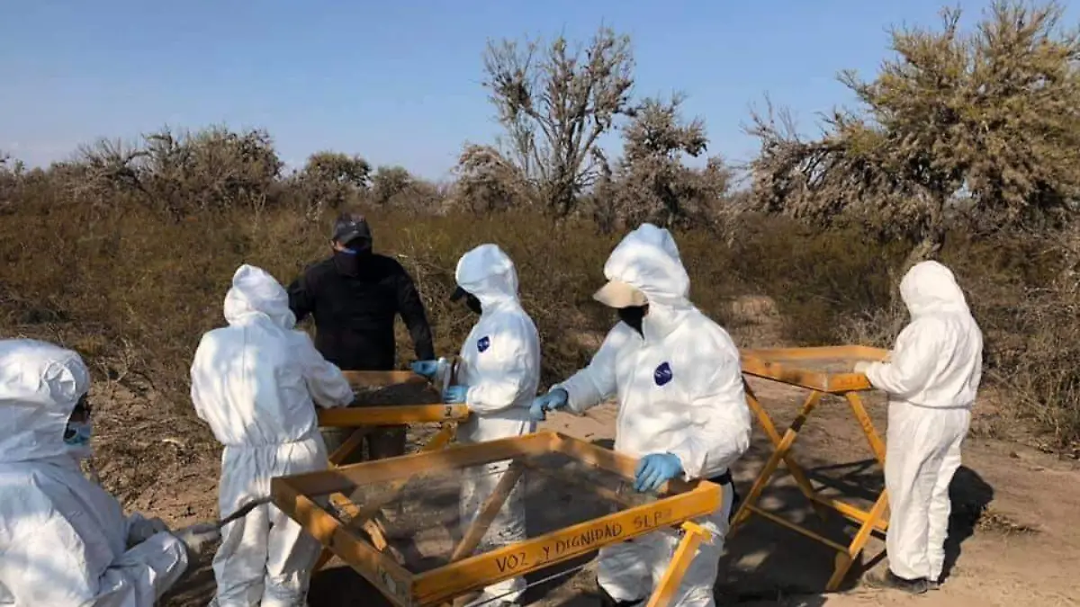 búsqueda de personas busqueda personas desaparecidas restos humanos 4