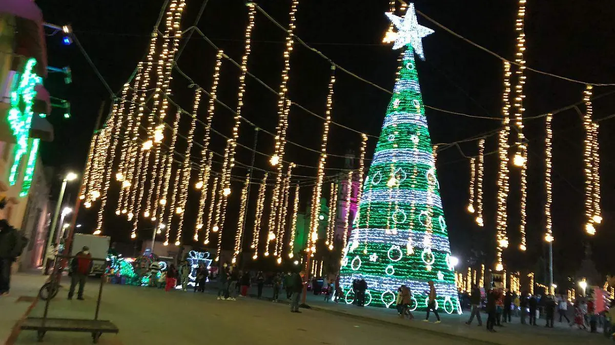 Arbol Monumental en Soledad