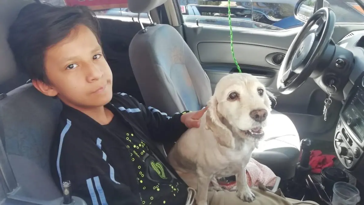 Protectores de animales se reunieron en la glorieta 2