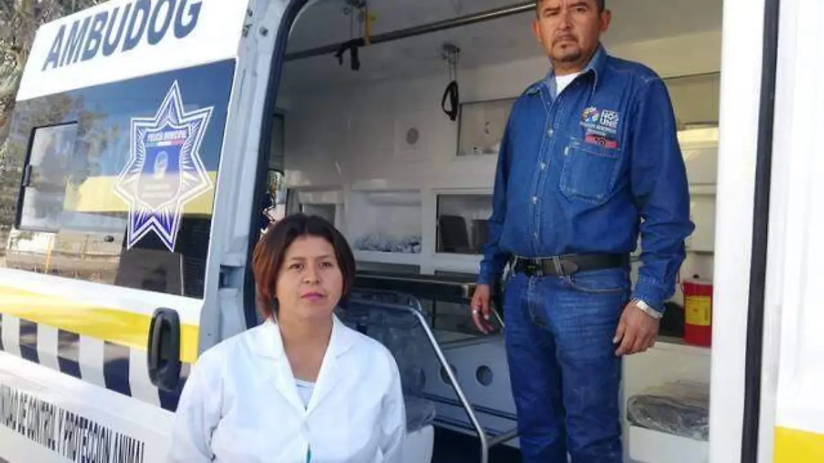 Ambudog 3