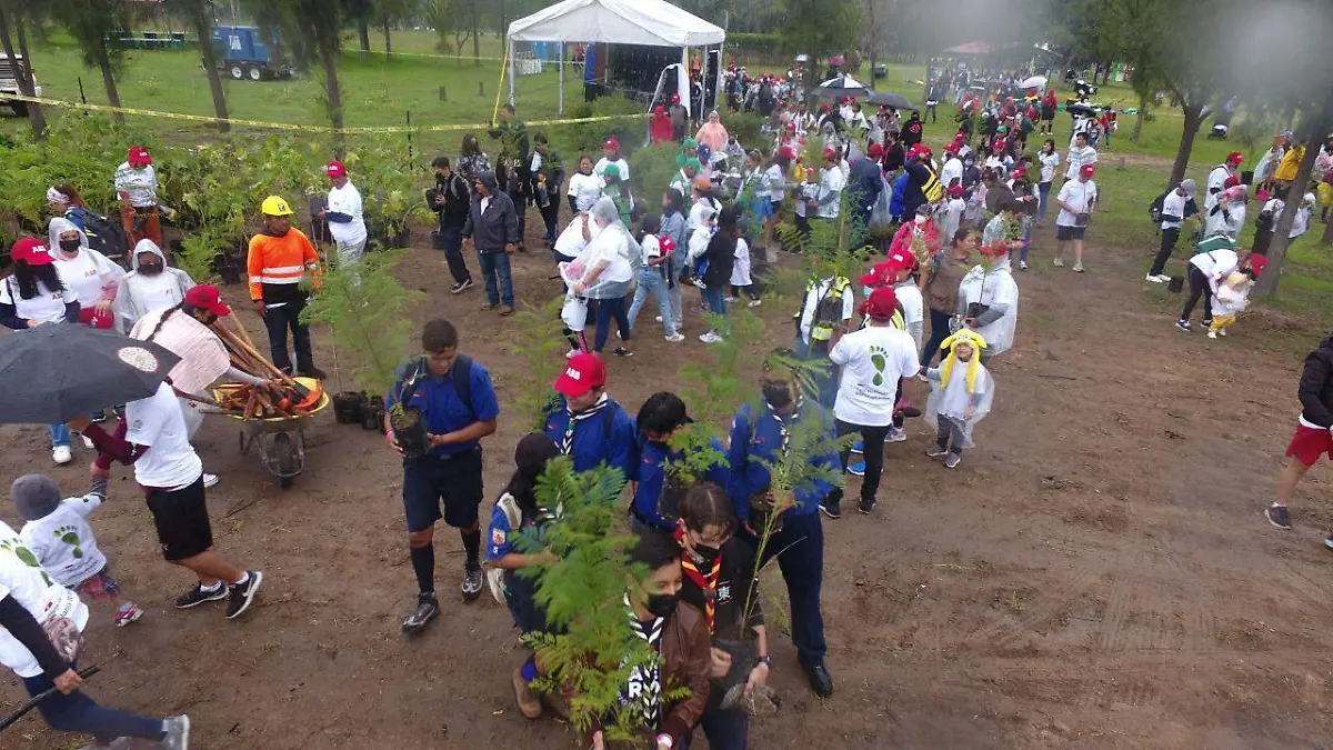 Reforestación parque 1 (3)
