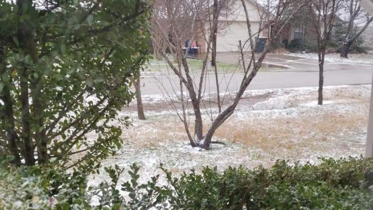 nieve