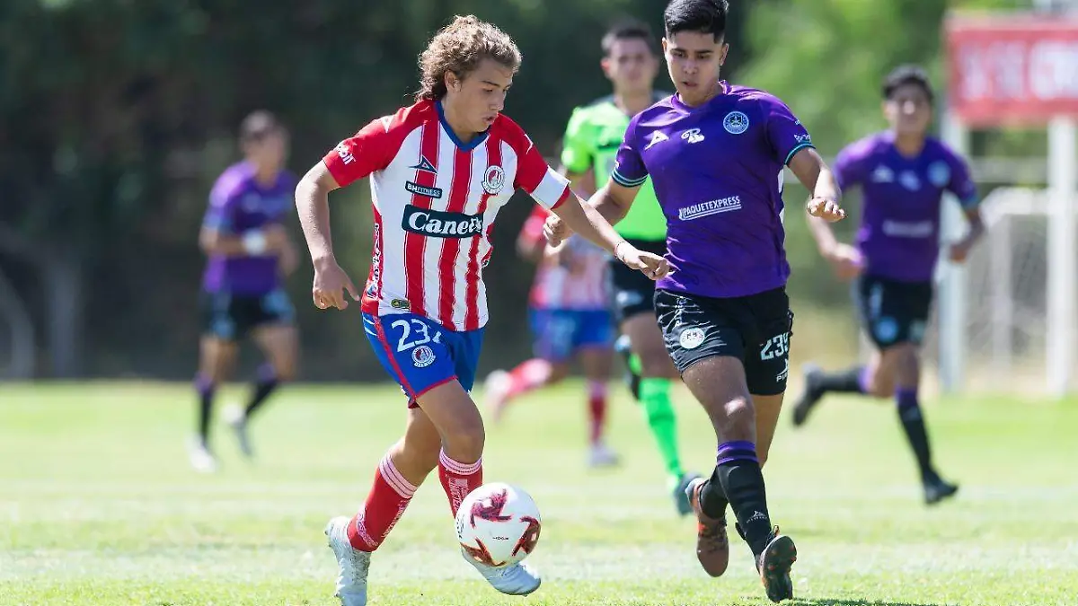 De capa caída las inferiores del San Luis