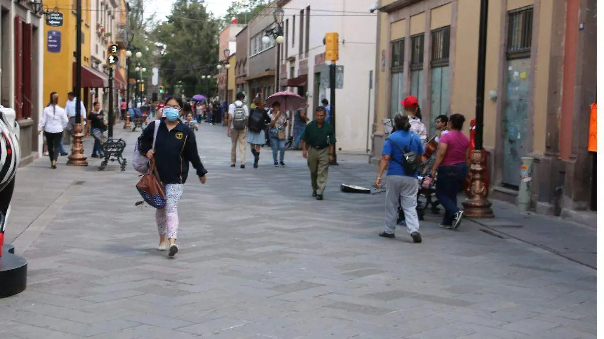 Plantilla - 2023-05-26T130857.246