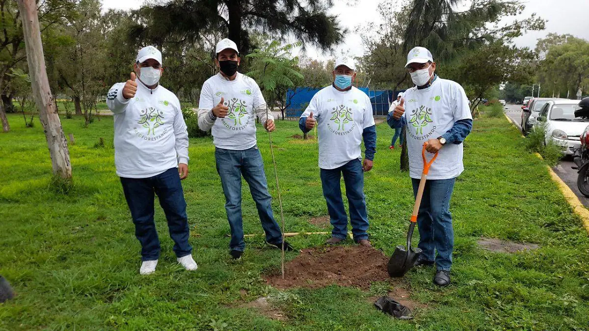 Reforestan Parque  2