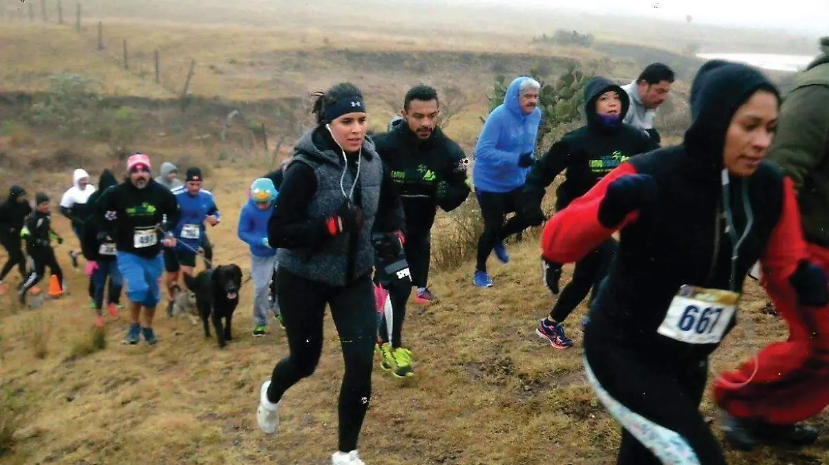 b1b92471-42bd-49ef-b5b0-03636a3f732c