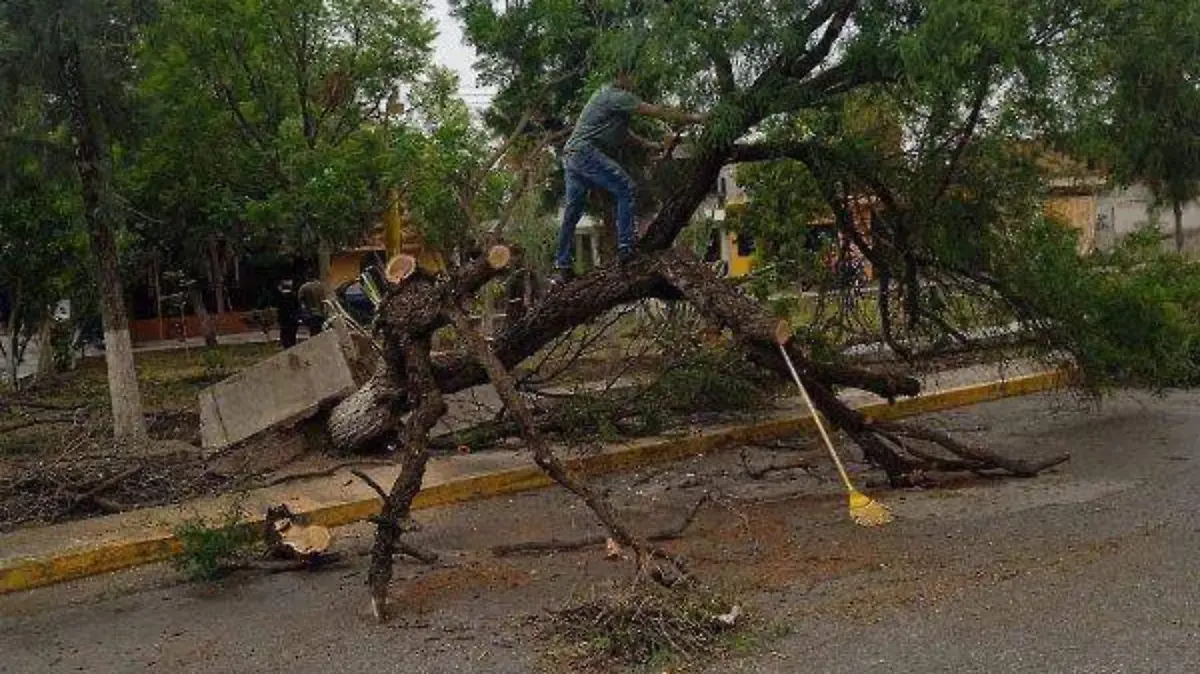 Piden a la ciudadanía estar alerta