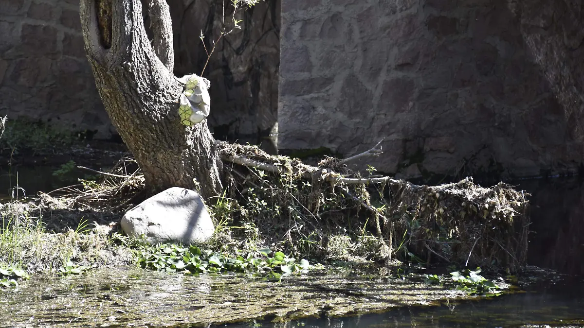 agua sucia agua contaminada dengue Dengue contaminación basura