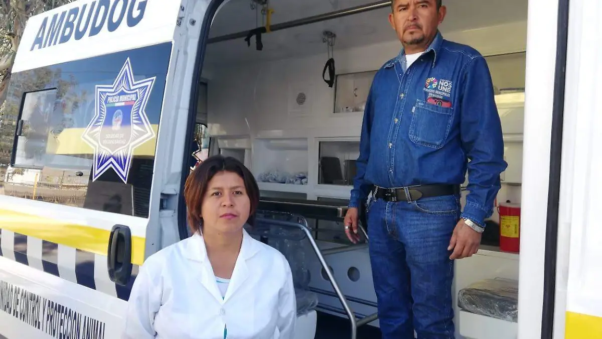 Ambudog 3