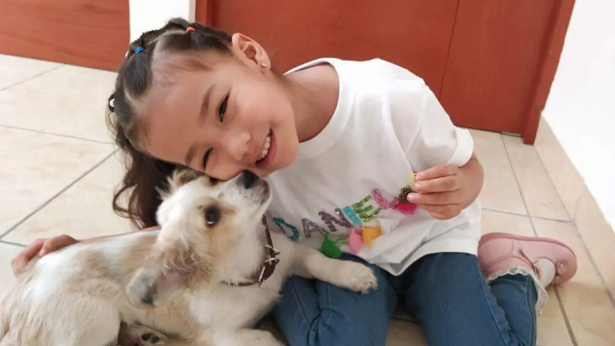 ae52b2b2-2c9c-4f3c-8ecd-e708c2684c6d