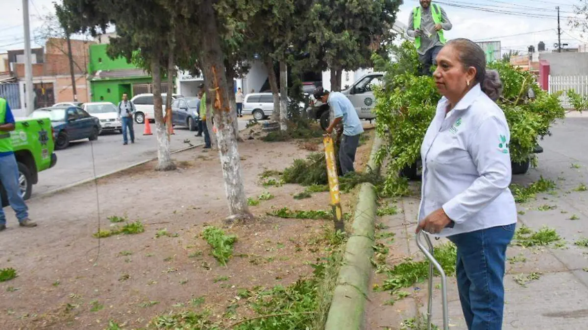 Martes Ciudadano (6)