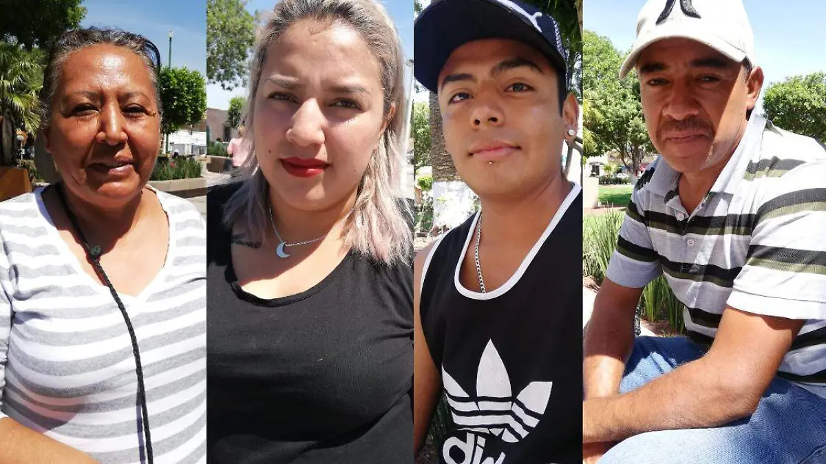 entrevistados