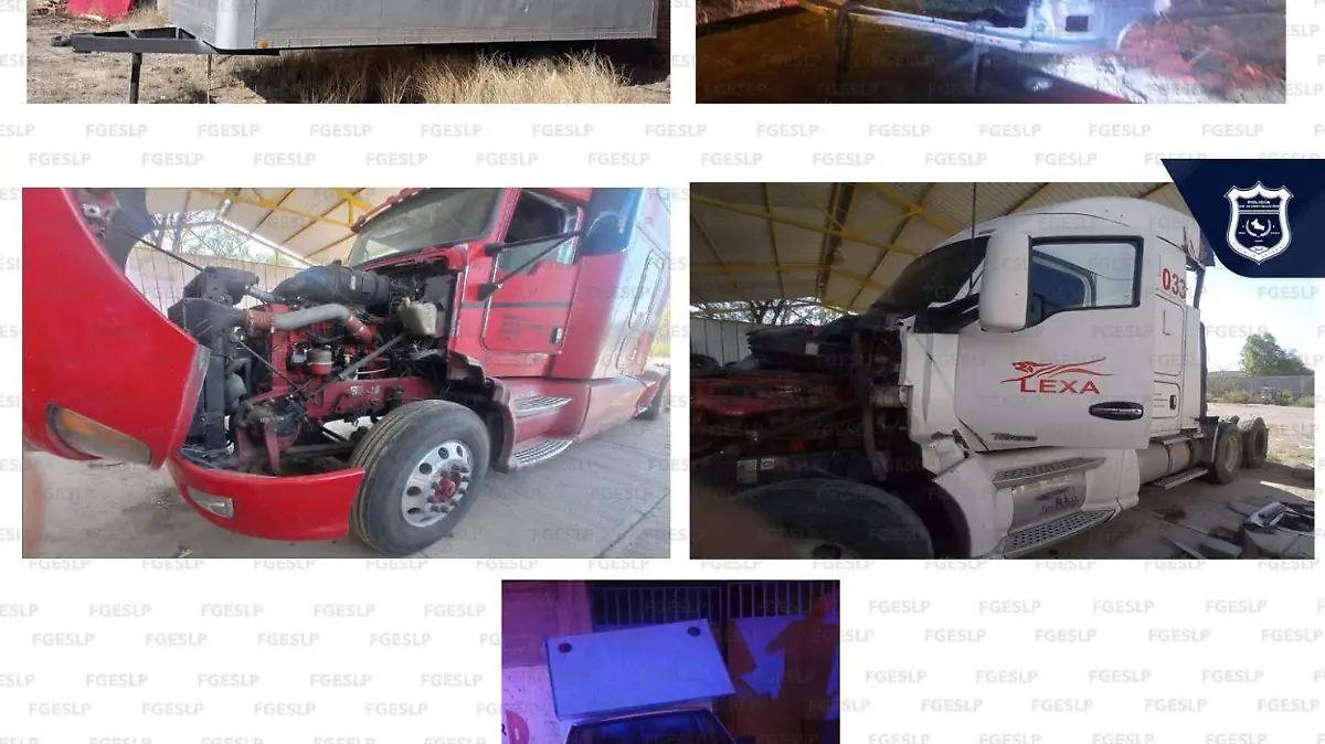 vehículos asegurados