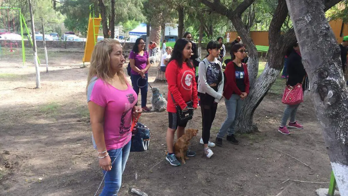 PROYECTO ADOPTANDO Y APRENDIENDO 4