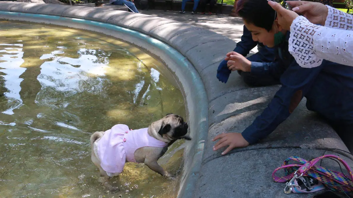 Muy arreglada a misa