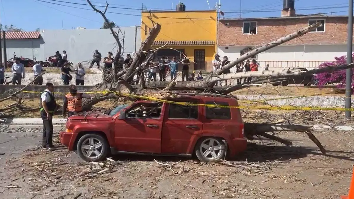 camioneta aplastada
