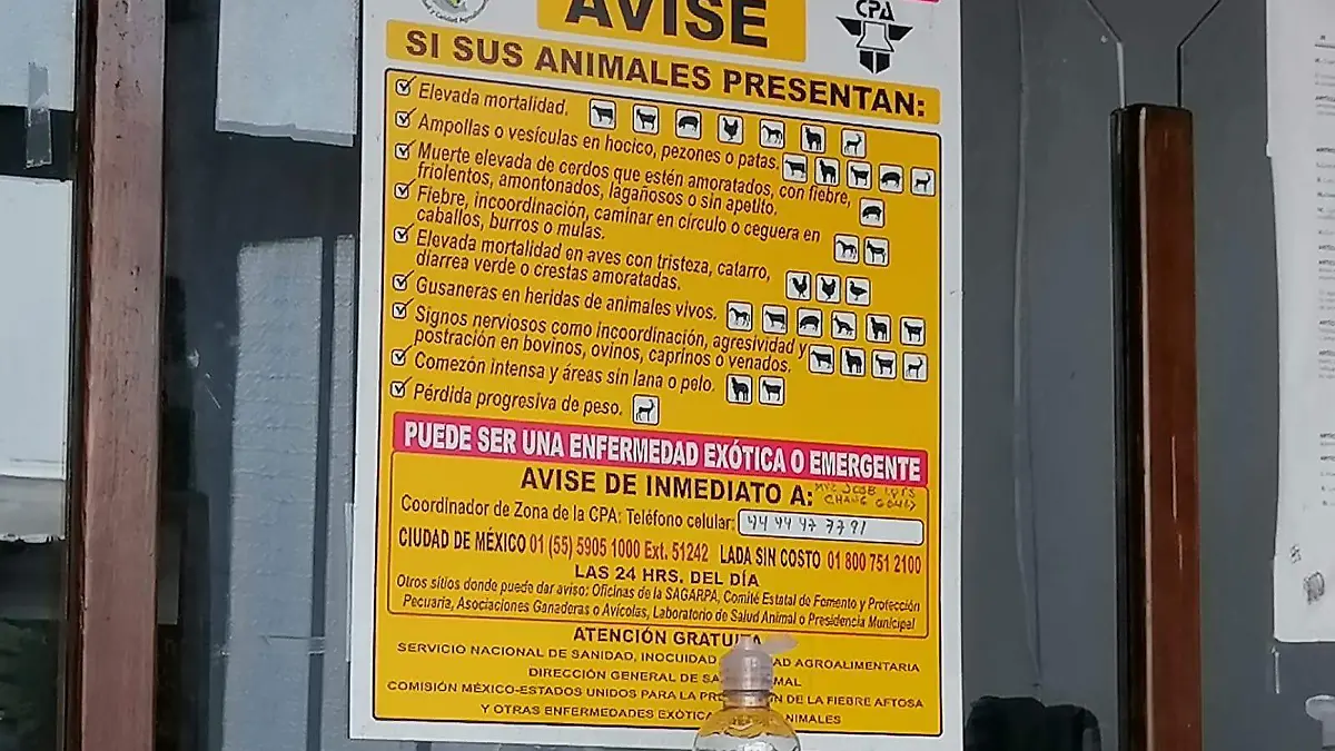 Asociación ganadera local