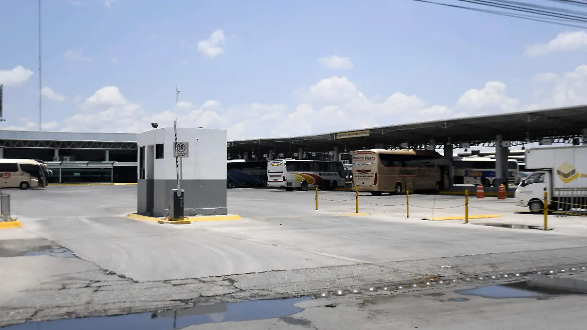 TTP autobús autobuses bus autobus