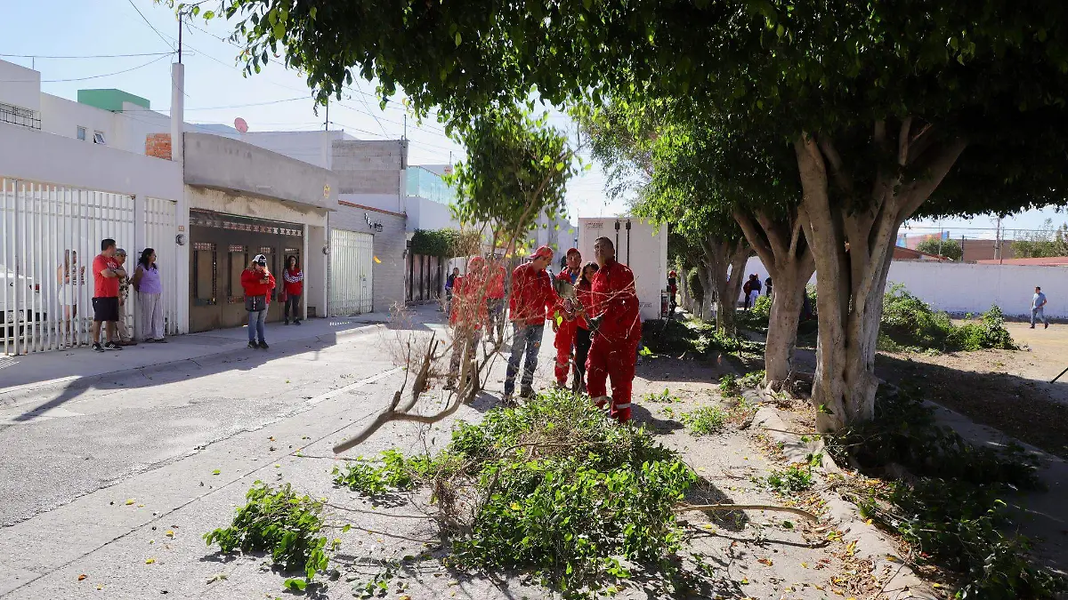 Domingo de Pilas (4)