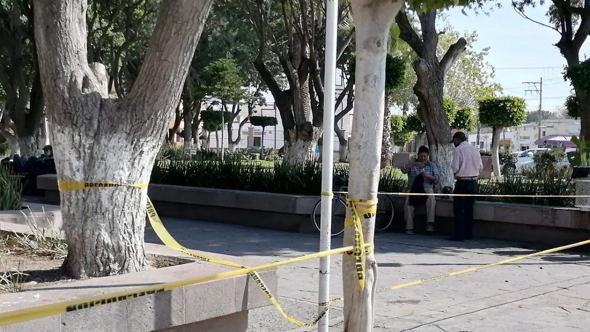 acordonan plaza principal de soledad 4