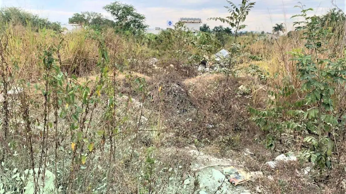 Lotes baldíos en el abandono