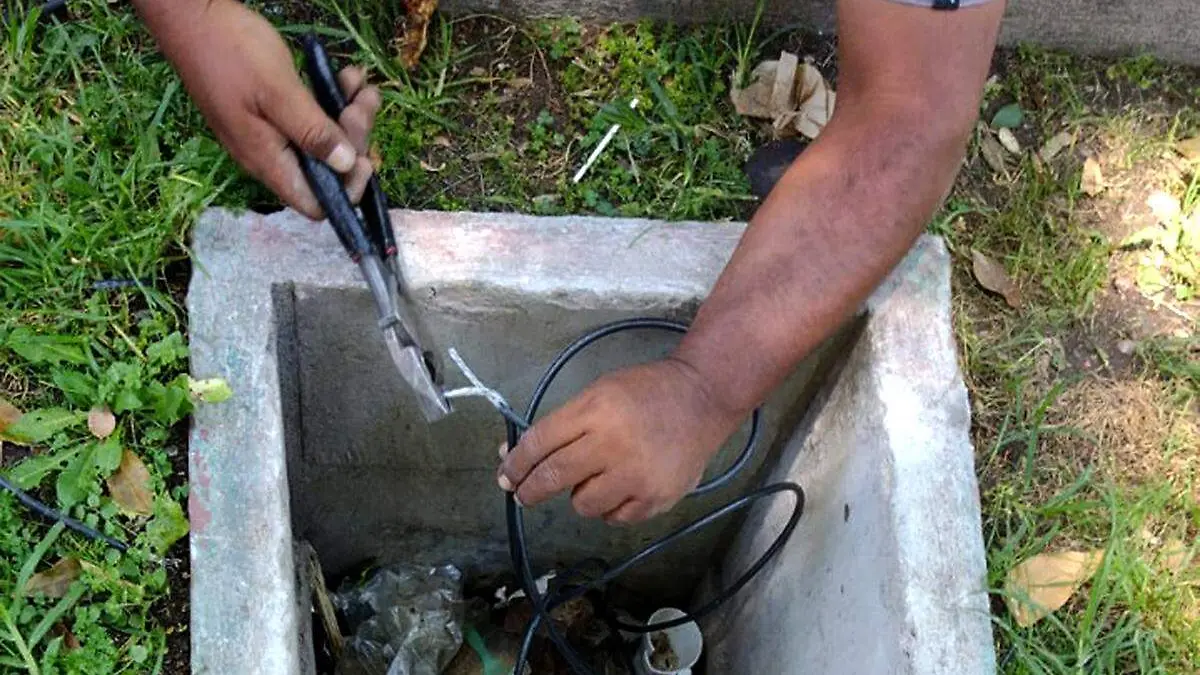 dejan sin luz varios jardines públicos 1