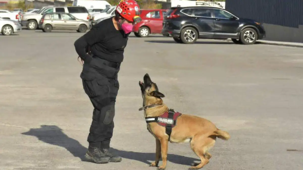 Image 2022-02-16 at 10.37.34