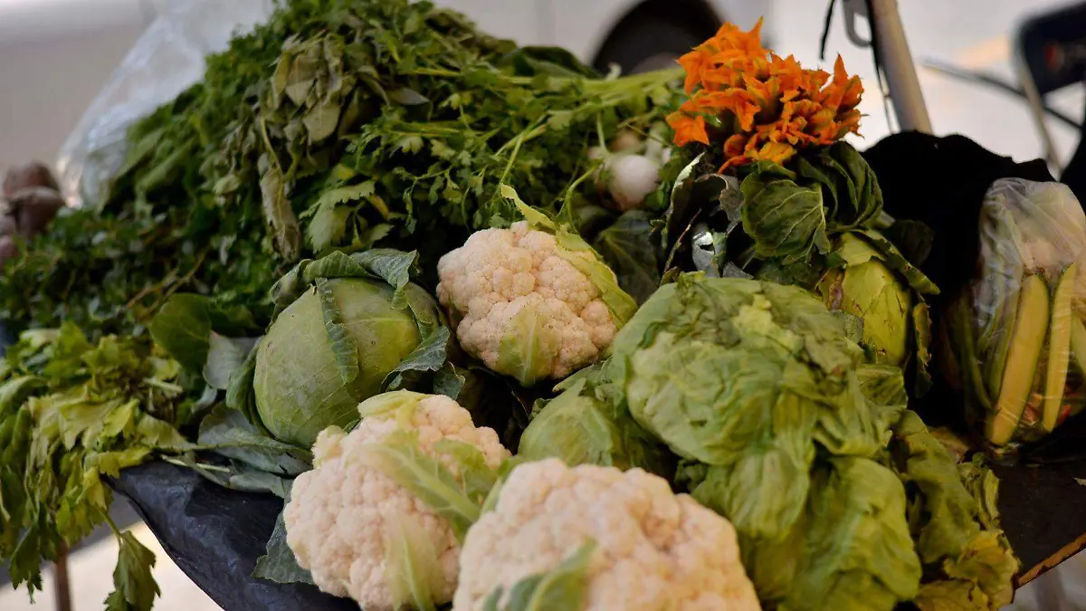 verduras (2)