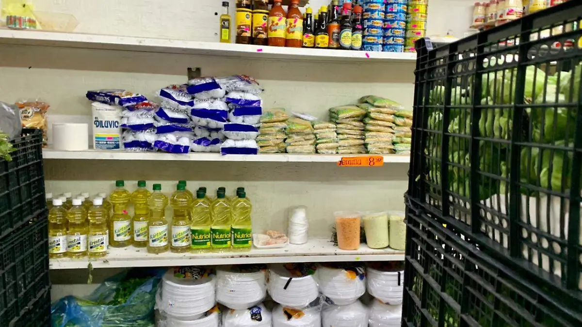 CANASYTA BÁSICA (3)