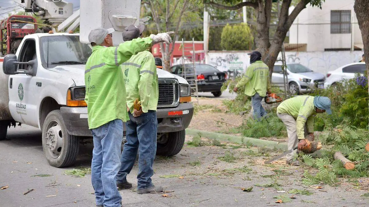 Verde ciudadano nueva etapa (2)