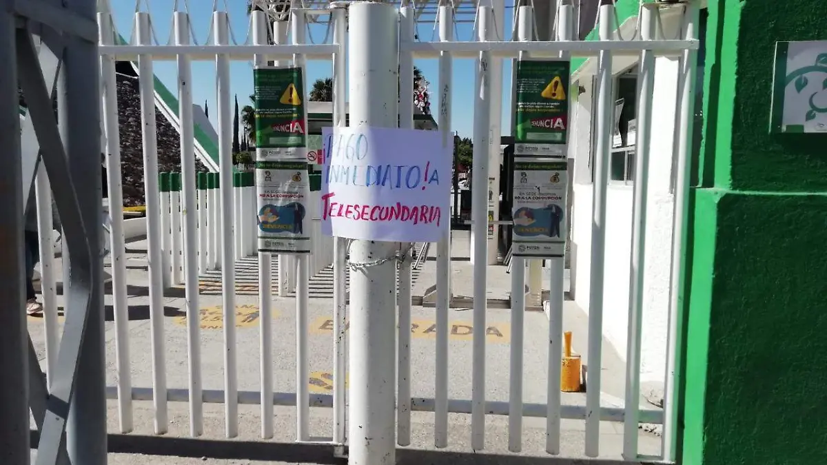 maestros telesecundaria (2)