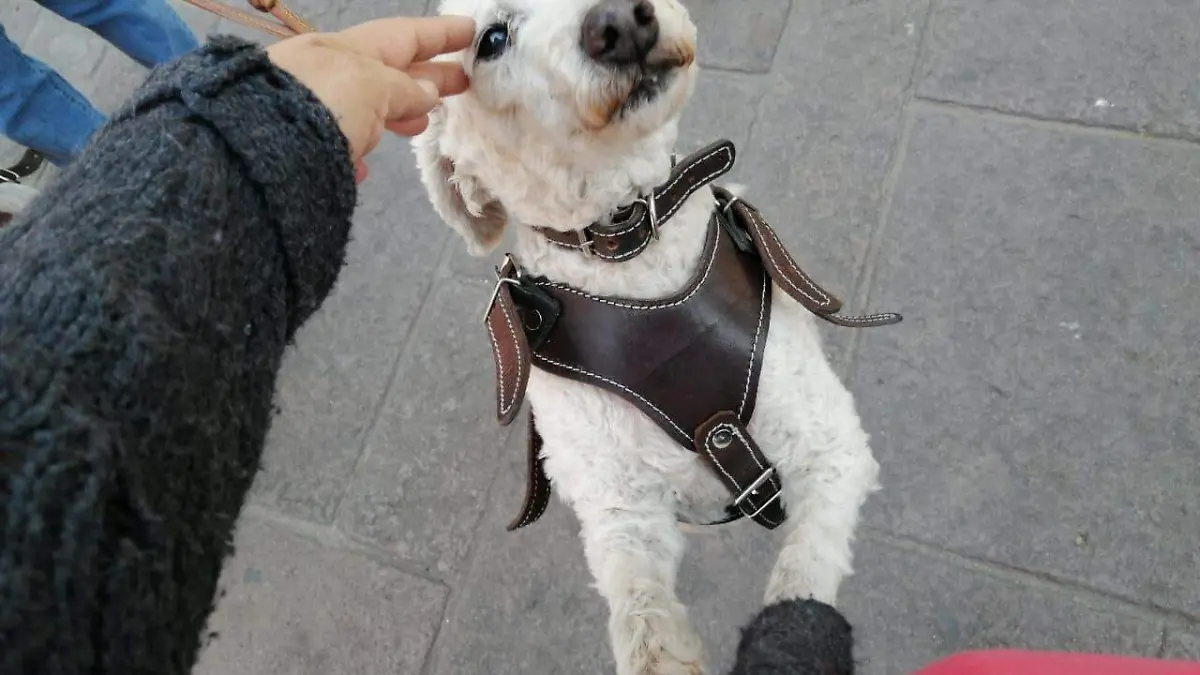 Ya bendito y menos travieso