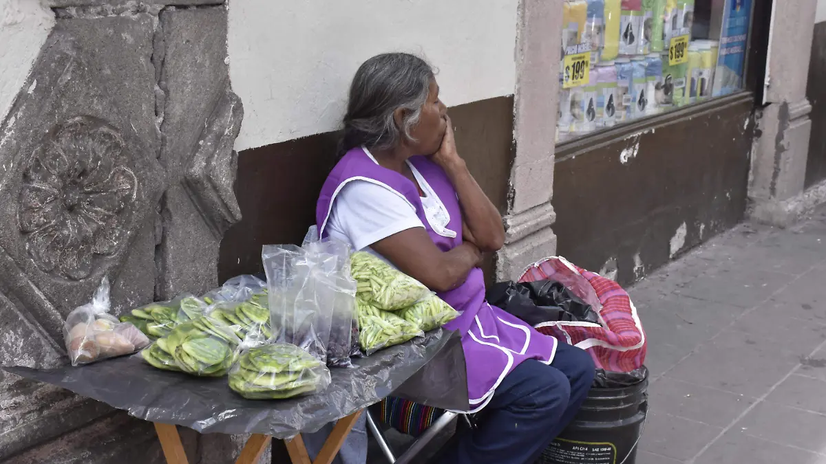 nopalitos