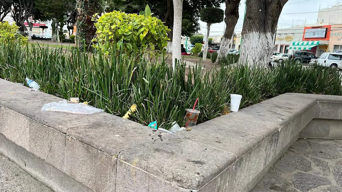 Basura en plaza de Soledad 