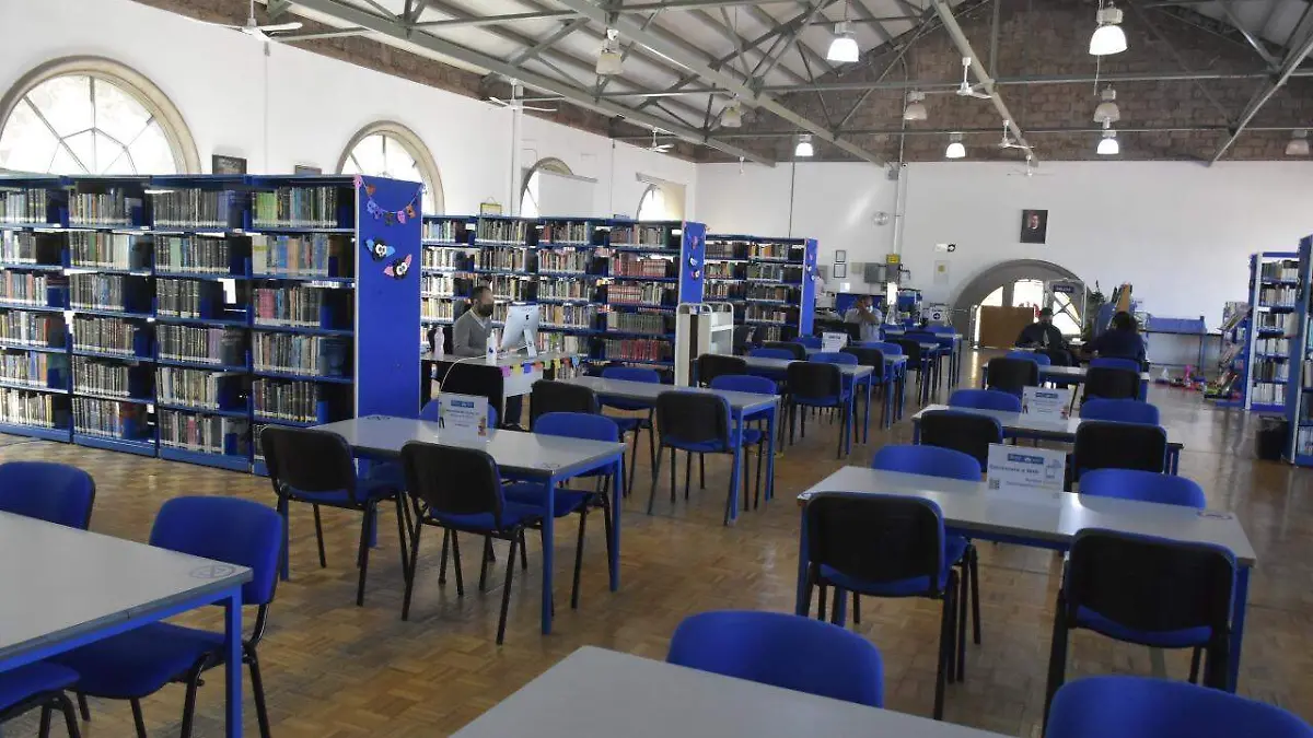 biblioteca bibliotecario  (4)