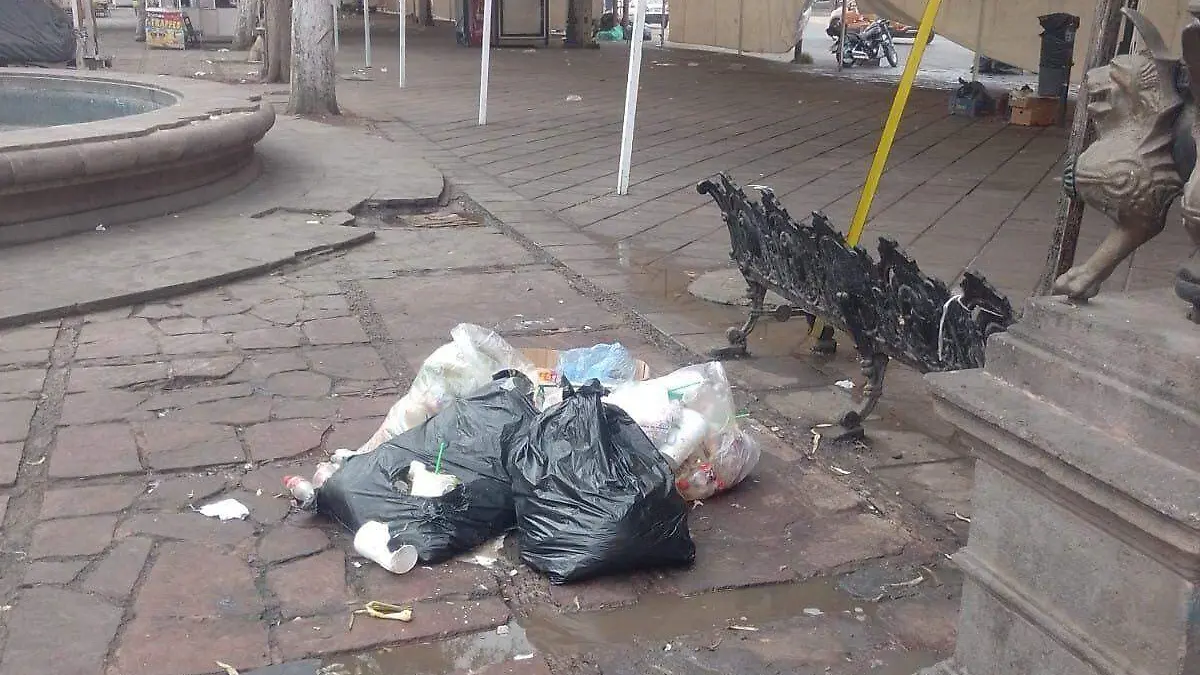 Recolección de basura (2)