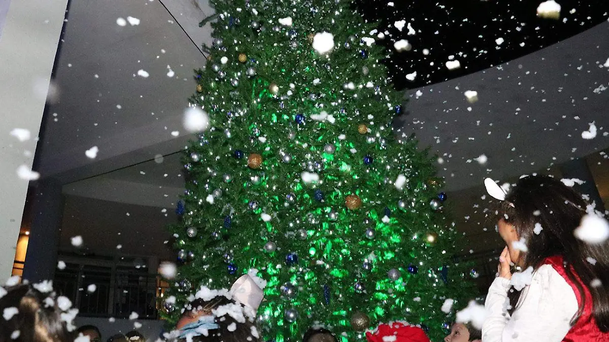 arbol 1