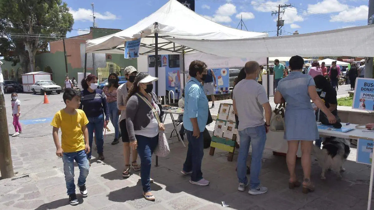 adopcion de mascotas perritos animales CR (7)