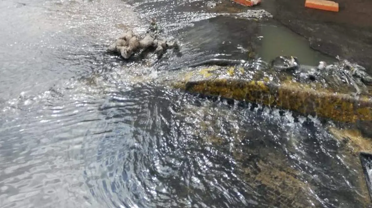 aguas negras 2