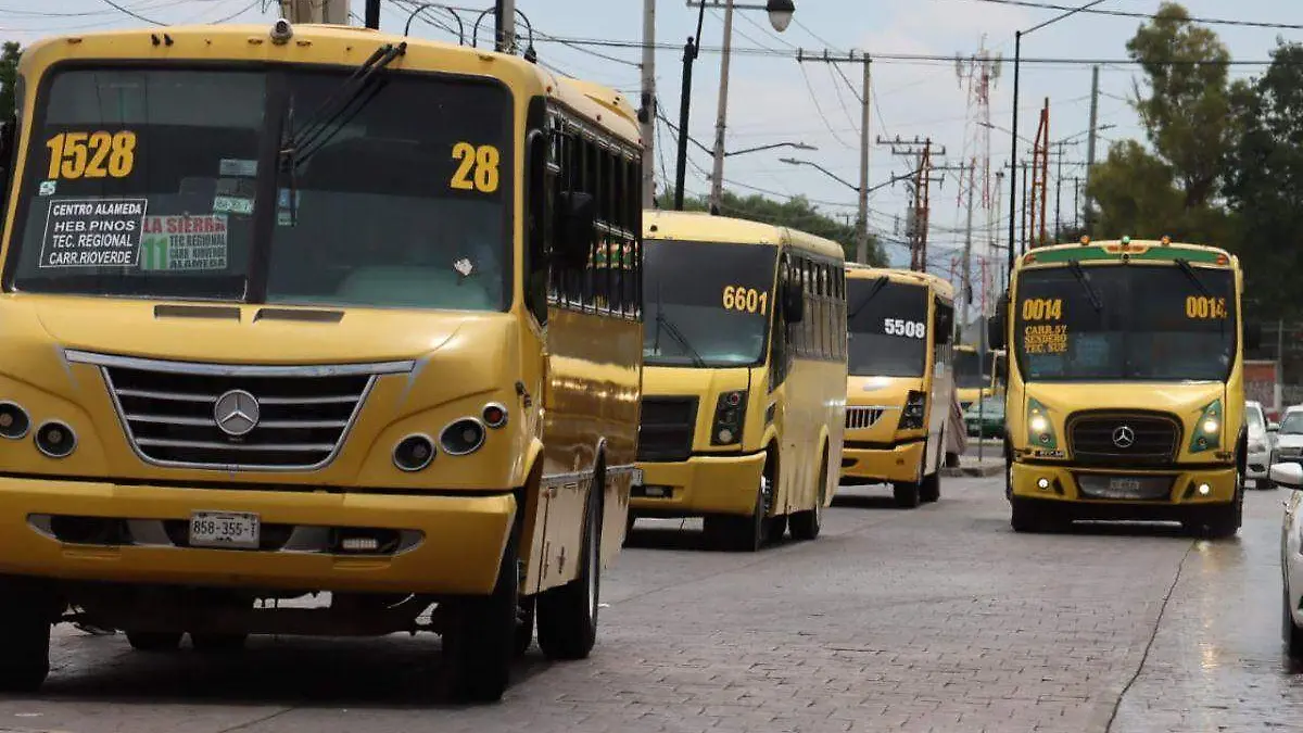 Transporte público (1)