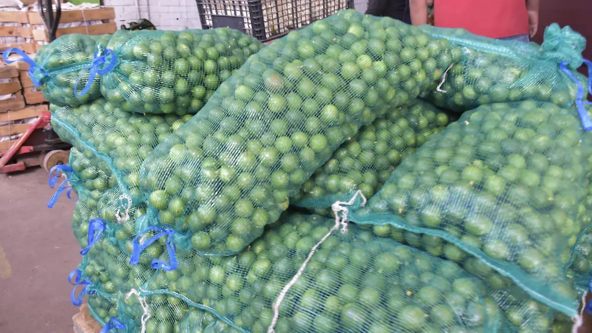 limon limón limones limonada 3