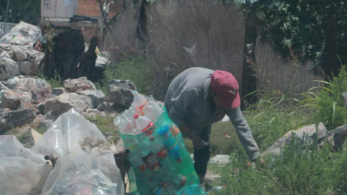 botellas de plástico reciclaje 2
