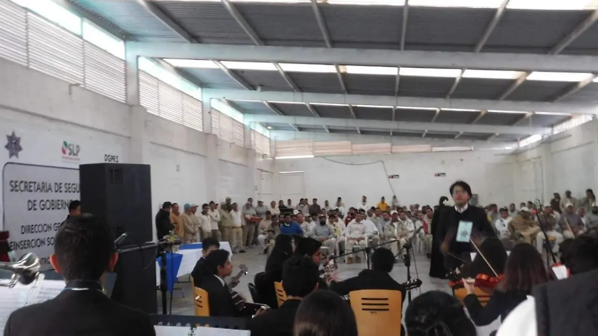 coro insume cerezo