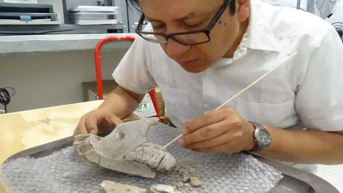 d24cfccb-604c-4ab6-afc3-c7b4ba52a0ab