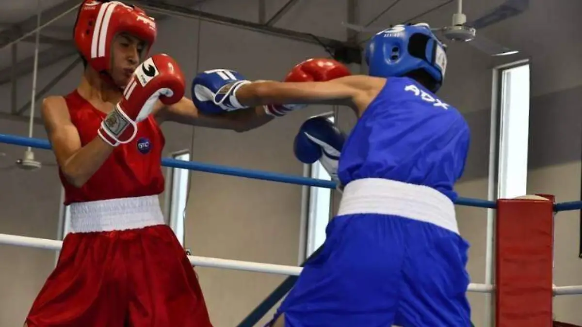 d3472118-b396-4b29-bf47-3749b870f135