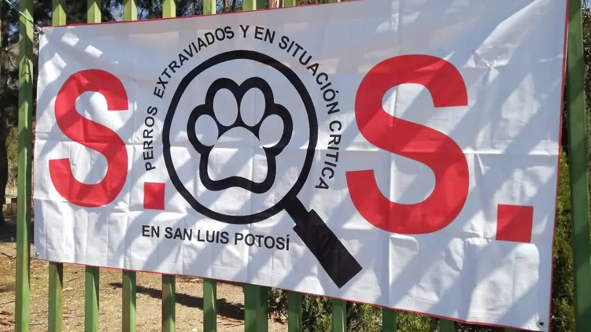 3 Protectores de animales se reunieron en la glorieta7