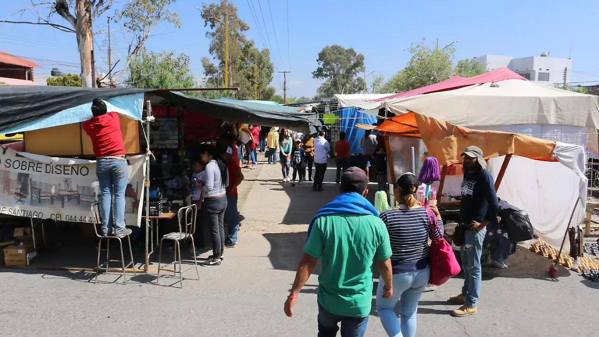 tianguis las vias tianguis las vias Las Vías  (11)